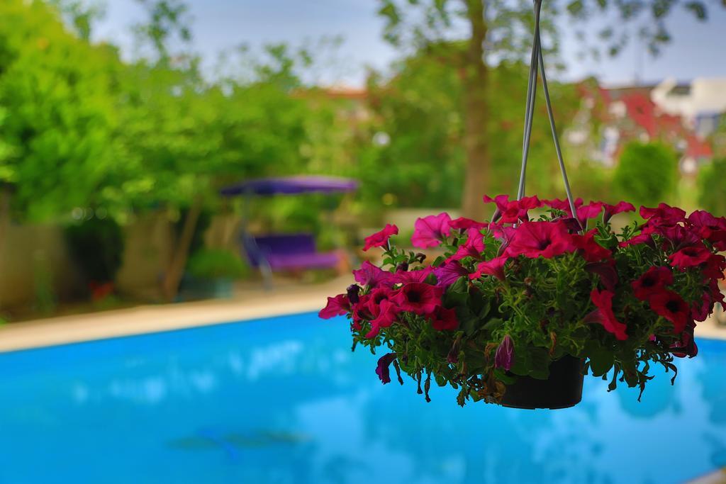 Anfora 3* Belek